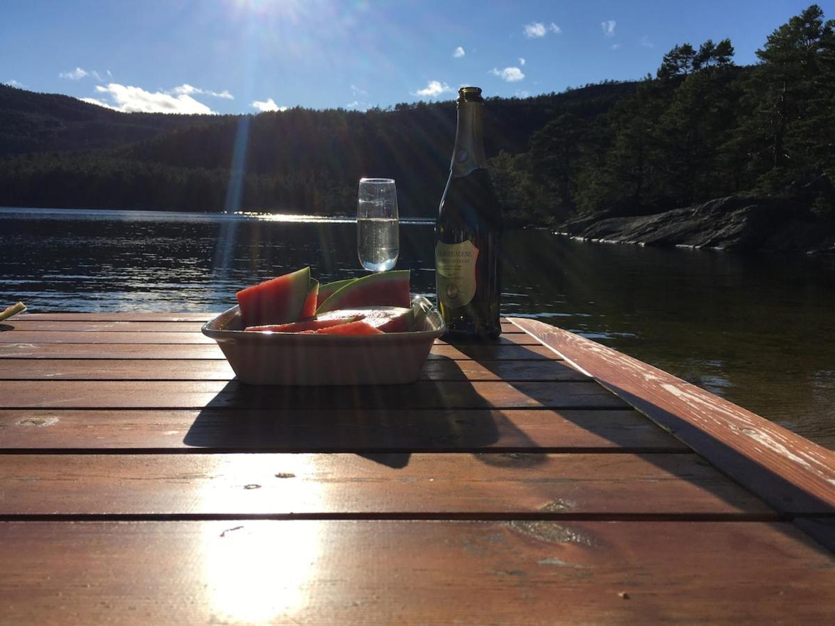 Villa Sinesoyni In Byglandsfjord - Evje Esterno foto